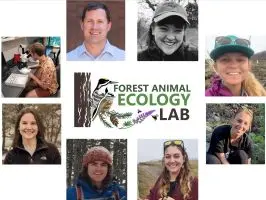 Forest Animal Ecology Lab