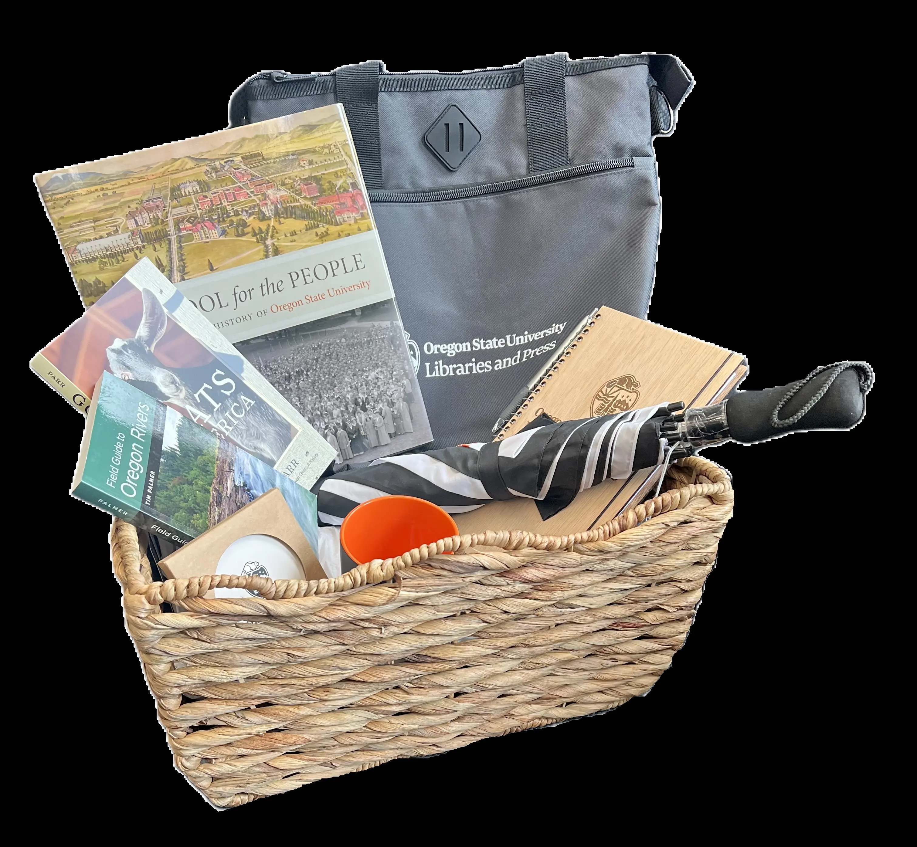 A selections of items donated by the library
